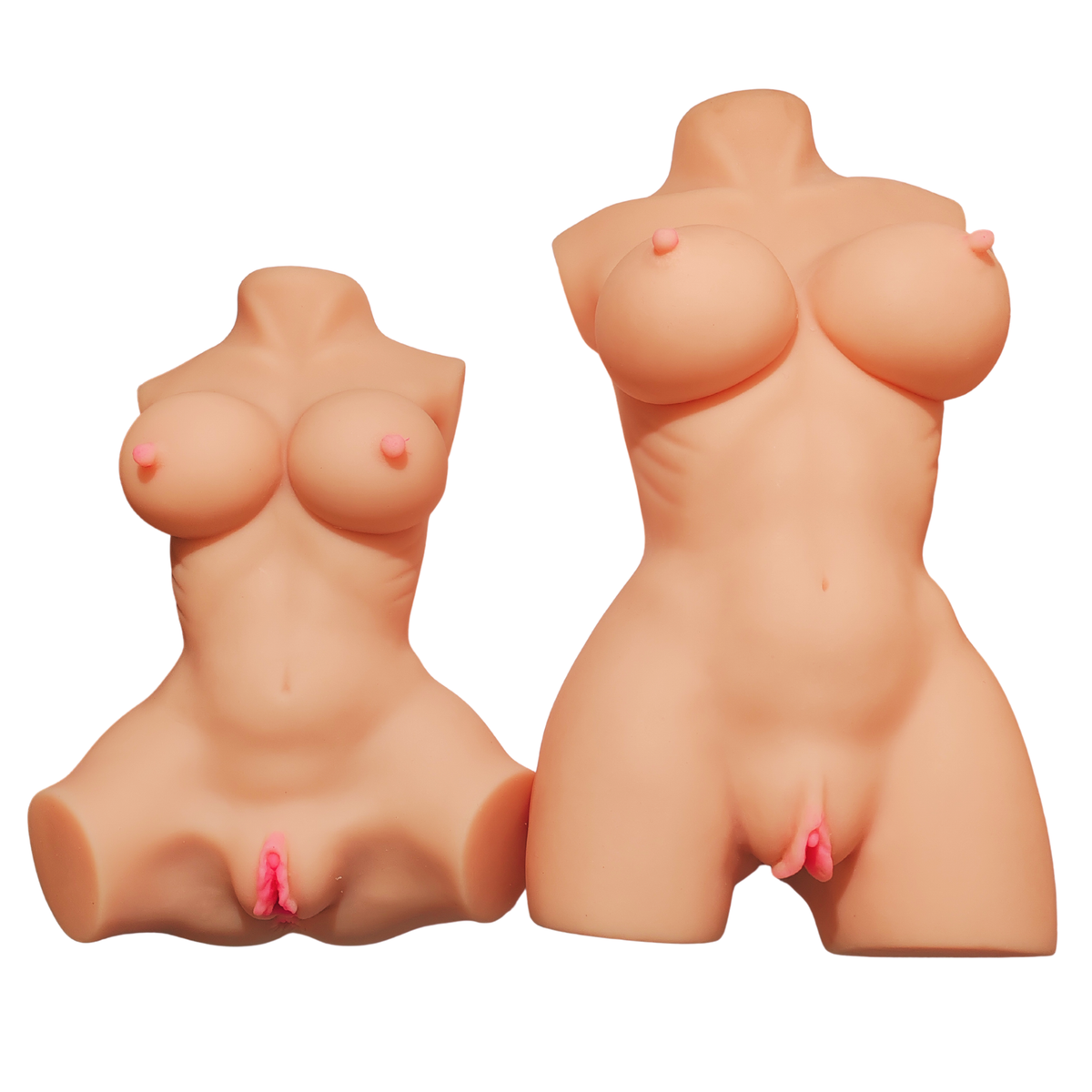Confronto dimensioni mezzo busto femminile realistico, due taglie in materiale morbido