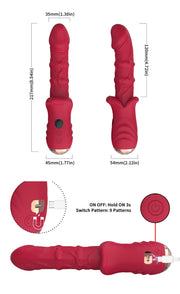 Schema tecnico vibratore rosso con 9 modalità vibrazione e ricarica USB-C magnetica