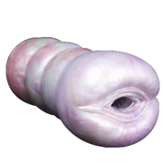 Worms Male Masturbator